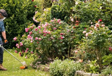 STIHL Linetrimmers & Brushcutters