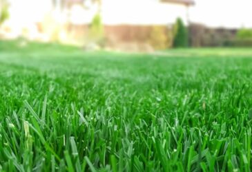 Lawn Care Products